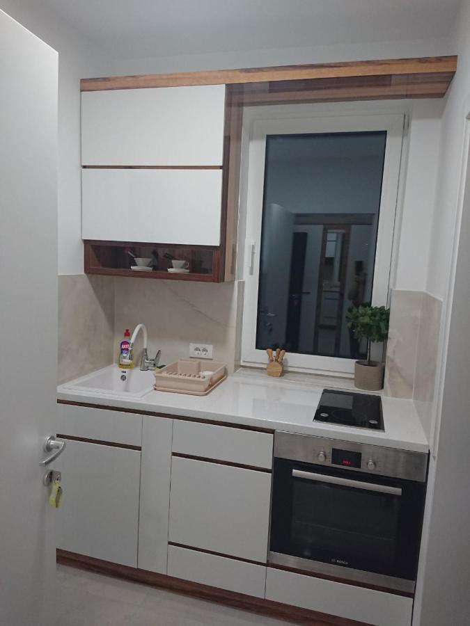 Lux Apartment 10 Center, Free Parking Nis Ngoại thất bức ảnh